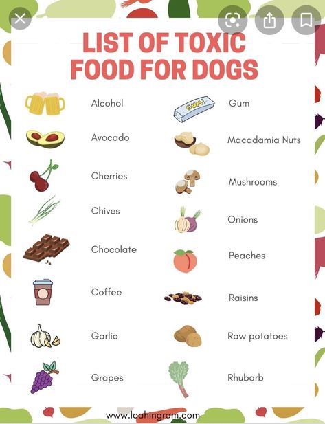 Foods Bad For Dogs, Dangerous Foods For Dogs, Toxic Foods For Dogs, Foods For Dogs, Human Food For Dogs, Foods Dogs Can Eat, Best Puppy Food, Food For Dogs, Toxic Foods