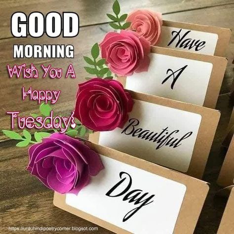 Good morning!☀️ If yesterday was good, today will be better. Happy Tuesday!💋💜 Good Morning Wish, Gud Morning Images, Tuesday Quotes Good Morning, Tuesday Greetings, Good Morning Wishes Friends, Hello Good Morning, Good Morning Romantic, Morning Hugs, Good Morning Hug