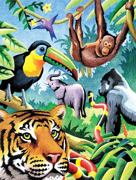 Jungle Drawing, Jungle Animal Art, Zoo Crafts, Jungle Scene, Jungle Illustration, Jungle Art, Colour Pencil, Animal Sketches, Arte Animal