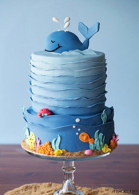 Jeremiah's Whale of a time Cake | Tracey | Flickr Baby Shower Cake For Girls, Whale Birthday Cake, Ocean Birthday Cakes, Whale Cake, Whale Birthday Parties, Whale Cakes, Shark Birthday Cakes, Boys 1st Birthday Cake, Whale Birthday