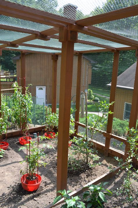 Garden Enclosure Inspiration – Clover and Thyme Animal Proof Garden, Enclosed Garden Structures, Squirrel Proof Garden, Easy Diy Landscaping, Fence Makeover, Garden Enclosure Ideas, Garden Fencing Ideas, Garden Enclosure, Home Decor Business Ideas