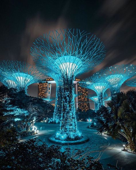 Futuristic Tree, Games Cafe, Futuristic Decoration, Glowing Tree, Neo Futurism, Gardens By The Bay Singapore, Board Game Cafe, Game Cafe, Future Garden