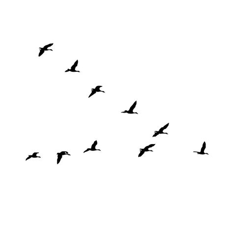 Flock of geese flying in V silhouette wall decals

Add a touch of nature to your home with these beautiful wall decals. The flock of geese will look stunning in any room, and they're sure to bring a smile to your face every time you see them.

#walldecals #geese . #Bird_Tattoos #Crane_Drawing #Goose_Tattoo #Geese_Flying Flock Of Birds Drawing, Flock Of Geese Tattoo, Flying Geese Tattoo, Flying Crane Tattoo, Geese Tattoo, Crane Drawing, Goose Tattoo, Custom Hard Hats, Geese Flying