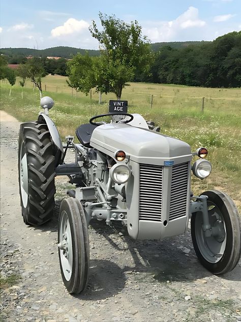 Ferguson Te20, Garden Tractor Pulling, Tractor Machine, Mini Tractor, Ferguson Tractor, Massey Ferguson Tractors, Traction Engine, Old Tractor, Classic Tractor