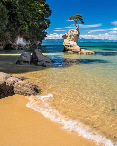 Abel Tasman National Park, New Zealand Beach, Abel Tasman, New Zealand Landscape, New Background Images, Golden Beach, New Zealand Travel, Banff National Park, Queenstown