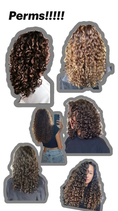 My fav perms Hair Perm Types, Perm Before And After, Big Curl Perm, Different Types Of Perms, Perm Ideas, Types Of Perms, Big Curls, Permed Hairstyles, Dream Hair