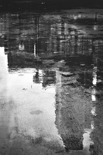 Reflection, Toronto, Puddle, Water, Black and White, Rain, City, Skyline Black And White Rain, Rain Shadow, Photography Essentials, Black And White Photo Wall, Black And White City, Black And White Picture Wall, Photography Black And White, Reflection Photography, Fine Photography