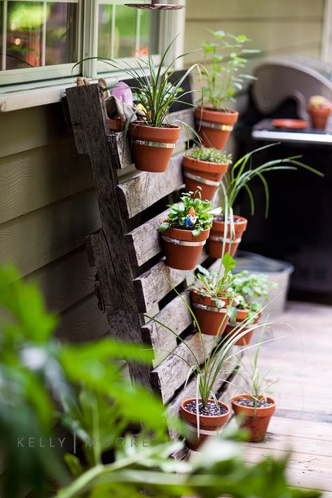 How to grow a vegetable garden. Check out these amazing DIY vegetable gardens ranging from large to small. Vertical Pallet Garden, Vertical Herb Garden, Vertical Garden Diy, Pallet Planter, Garden Indoor, Vertical Gardens, Pallet Garden, Pallets Garden, Have Inspiration