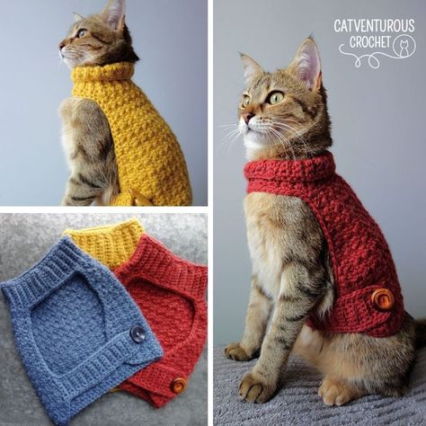 Available for free at Catventurous Crochet on YouTube. Catventurous Crochet: Simple and fun crochet patterns for #fashionablycatventurous kitties. @catventurous.crochet Supermeowdel: Melba @catventurepussmelba Cat Sweater Pattern, Fun Crochet Patterns, Cat Hat Pattern, Kitten Sweater, Crochet Dog Clothes, Crochet Cat Hat, Crochet Dog Sweater, Crochet Cat Pattern, Cat Sweater