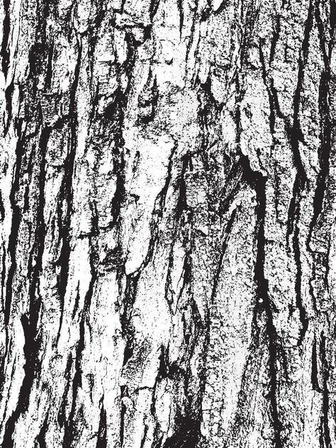 Texture Sketch, Tree Texture, Drawing Tree, Tree Bark Texture, Bark Texture, Tree Textures, Wood Bark, Texture Drawing, Texture Vector