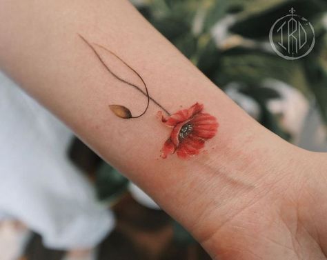 Small Poppy Flower Tattoo, Tattoos Poppy, Simple Poppy Tattoo, Poppy Tattoo Ideas, Watercolor Poppy Tattoo, Red Poppy Tattoo, Poppy Tattoos, Poppy Flower Tattoo, Carnation Tattoo