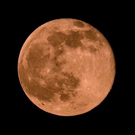 Moon Orange, Tim Buckley, Strawberry Moon, Orange Moon, Strawberry Moons, Moon Pictures, Super Moon, Aurora Borealis, Wonder