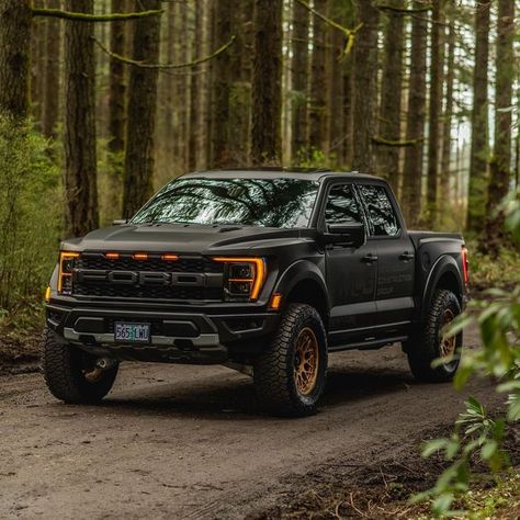 Matte Black Ford Raptor, Gen 3 Raptor, Ford Raptor Custom, Matte Black Truck, Black Ford Raptor, Ford Raptor Truck, Ford Raptor F150, Aesthetic Car Accessories, Raptor Truck