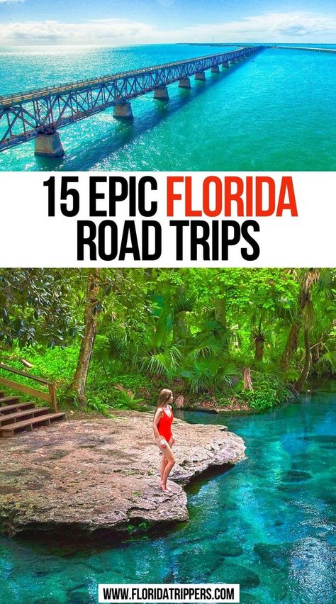 Epic Florida Road Trips Florida Road Trip Ideas, Florida Road Trip, Florida Keys Road Trip, Florida Vacation Spots, Travel Places To Visit, Florida Travel Destinations, Road Trip Ideas, Florida Travel Guide, Florida Adventures