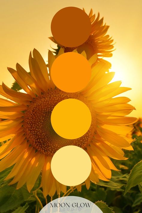 Yellow Gold Warm Tone Sunflower Color Inspiration Sunshine Color Palette Sunflower, Sunflower Color Palette, Warm Tone Color Palette, Tone Color Palette, Warm Tone Colors, Wedding Color Palette Summer, Pictures To Color, Color Theory Art, Late Summer Weddings