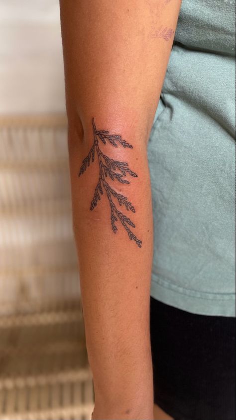 Small Nature Tattoo, Oregon Tattoo, Earthy Tattoos, Fern Tattoo, Tattoos To Cover Scars, Tatoo Inspiration, Vintage Tattoo, Nature Tattoos, Little Tattoos