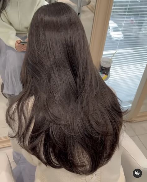 Winter Hair Colors, Winter Hair Color Ideas, Korean Winter, Cozy Season, Winter Hair Color, Winter Hair, Hair Color Ideas, Hair Colors, Dark Brown