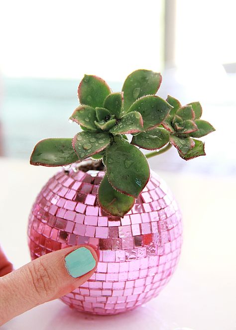 DIY Disco Ball Succulent Planters - A Bubbly Life Bubblegum Machine, Diy Disco Ball, Pink Disco Ball, Bottles Diy, Pink Disco, Succulent Planters, Business Diy, Ideas Casa, Disco Balls