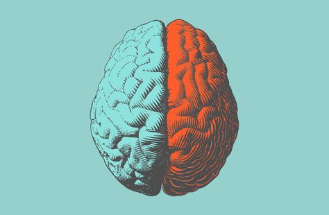 How does the brain work? A recent word memory study suggests search engine similarities. Brain Wallpaper, Brain Study, Brain Problems, Memory Issues, Memory Exercises, Brain Illustration, Psychology Topics, Endocannabinoid System, Head In The Sand