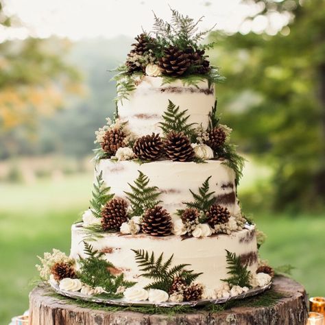 Rustic Mountain Wedding Cake, Nature Wedding Cakes, Forest Wedding Cakes, Antler Wedding Cake, Nature Wedding Cake, Birch Bark Cake, Forest Theme Wedding Cake, Forest Wedding Cake, Barn Wedding Cake