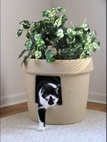 Hide your cat's litter box in plain sight! Litter Box Planter, Plant Litter Box, Hiding Cat Litter Box, Diy Litter Box, Hidden Litter Boxes, Cat Area, Wooden Cat House, Cat Crate, Cat Houses Indoor