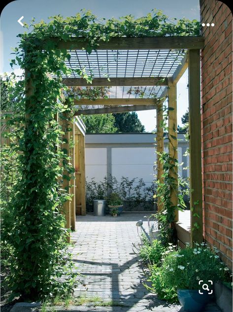 Rustic Outdoor Spaces, Garden Dividers, Small Pergola, Small Courtyard Gardens, Studio Apartment Ideas, Home Garden Design, School Garden, Pergola Patio, Apartment Garden