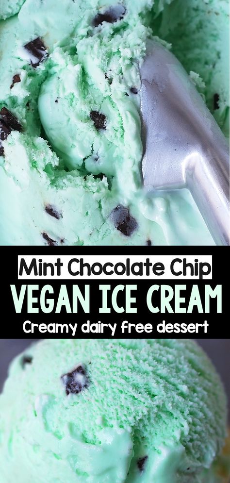 How to make dairy free mint chocolate chip vegan ice cream without a machine for dessert #vegan #icecream #dairyfree #veganicecream #dessert #recipe #mint Best Dairy Free Ice Cream, Dairy Free Mint Chocolate Chip Ice Cream, Vegan Mint Chocolate Chip Ice Cream, No Churn Dairy Free Ice Cream, Ninja Ice Cream Recipes Dairy Free, Diary Free Ice Cream Recipe, Dairy Free No Churn Ice Cream, Dairy Free Ice Cream Recipe No Machine, Healthy Ninja Creami Ice Cream Recipes Dairy Free