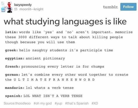 Funny Tumblr, Learn French, What’s Going On, Text Posts, Tumblr Posts, Tumblr Funny, Hetalia, Funny Posts, Funny Quotes