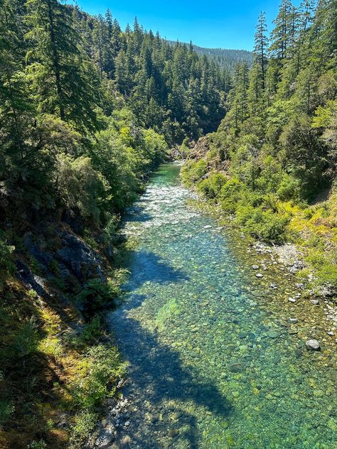 Big Sur Redwoods, Smith River California, Redwood National Park Aesthetic, Pnw Summer, Oregon Aesthetic, Canadian Forest, Oregon Forest, California Redwoods, Forest Hiking