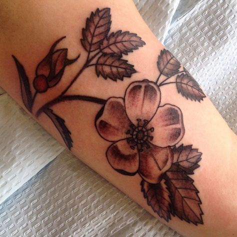 Alberta Wild Rose Tattoo, Alberta Wild Rose, Wild Rose Tattoo, Beautiful Body, Flower Ideas, Wild Rose, Rose Tattoos, Wild Roses, Rose Tattoo