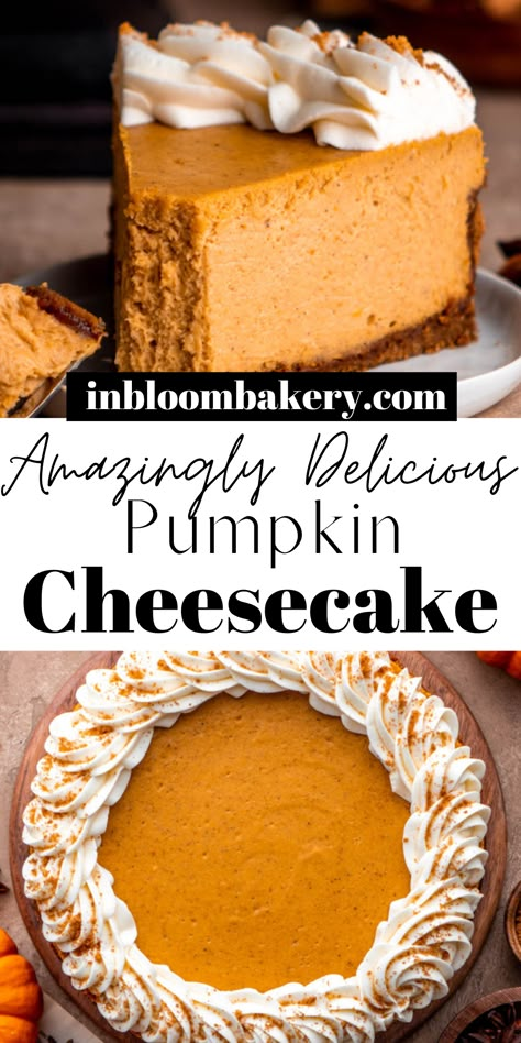 Pumpkin Pie Recipe Cheesecake, 6 Inch Pumpkin Cheesecake, Pumpkin Pie Cheesecake No Bake, Costco Pumpkin Cheesecake Recipe, Pumpkin Cheesecake With Oreo Crust, Pumpkin New York Cheesecake, Pumpkin Cheesecake Layered, Pumpkin Ricotta Cheesecake, Pumpkin Lava Cake