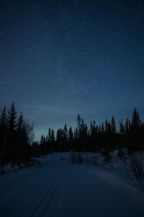 Road Wallpaper, Beautiful Winter Pictures, Snow Night, Blue Aesthetic Dark, Snow Forest, Tumblr Backgrounds, Night Forest, Night Pictures, Screen Saver