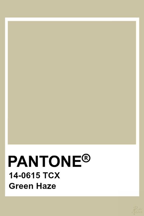 Pantone Green Haze Green Pantone, Brown Pantone, Pantone Tcx, Pantone Green, Pantone Color Chart, Pantone Swatches, Pantone Palette, Pantone Colour Palettes, Pantone Colors