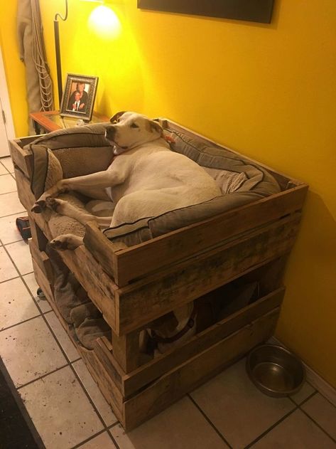 Dog Bunk Beds, Katt Grejer, Pallet Dog Beds, Elevated Dog Bed, Dog House Diy, Diy Dog Bed, Dog Crate Furniture, Dog Rooms, Kids Bunk Beds