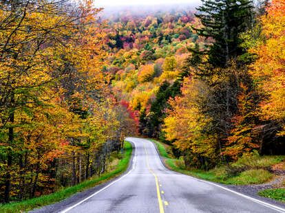 Presque Isle State Park, Monongahela National Forest, Leaf Peeping, Harpers Ferry, New England Fall, Great River, Scenic Byway, Autumn Scenery, Dream Vacation