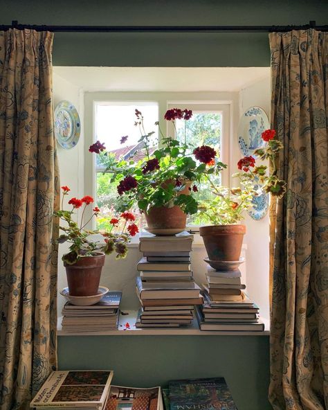 Pelargonium podium! #mendiphills #rural #englishcountryside #decoration #englishflowers #summer #july #wells #somerset #england | Instagram Sean Pritchard, Wells Somerset, English Flowers, Somerset England, English Decor, Cottage Life, Serene Bedroom, Bedroom Retreat, Up House