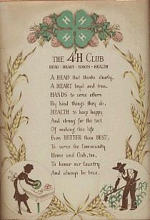 4-H | • History 4h Fair, 4 H Clover, 4h Project Ideas, 4h Projects, 4 H Projects, 4 H Club, Fair Theme, Hand Health, Clear Thinking