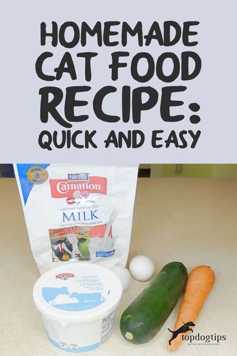 Homemade Healthy Cat Food, Simple Homemade Cat Food, Homemade Cat Food Recipes Easy, Diy Cat Food Recipe Homemade, Cat Recipes Food, Homemade Cat Food Recipes Vet Approved, Cooked Cat Food Recipes, Diy Cat Food Recipe, Kitty Recipes