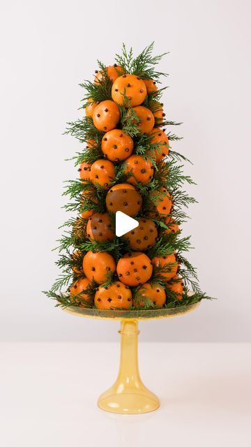 Estelle Colored Glass on Instagram: "Here’s how to create an orange pomander tree on an Estelle Cake Stand this holiday season 🧡

Orange Pomander Tree Supplies: 
Clementines
Cloves
Toothpicks
Foam cone, whatever size you like
Evergreen branches

Directions: 

Use a toothpick to poke the spaces where you would like the cloves to go; this makes it easy to pre-design the orange.

Stick the cloves into the hole made by the toothpick.

Once the design is finished, stick a toothpick into the foam cone where you would like to place the orange.

Once all of the oranges are on the cone, fill up the empty space with the evergreen pieces and decorative details.
 
Place your pomander tree in a visible spot to enjoy its scent and festive appearance!" Clementine Christmas Decorations, Fruit Tree Decoration, Pomander Designs, Christmas Orange Decorations, Orange And Pink Christmas, Clementine Tree, Fruit Cones, Orange Pomanders, Orange Christmas Tree