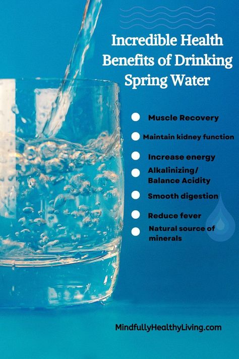 A pinterest optimized image of A blue infographic with a clear glass of spring water being poured on the left. Text overlay on the right says Incredible Health Benefits of Drinking Spring Water. Underneath are 7 white circles for bulletpoints. Each bullet point says Muscle recovery, maintain kidney function, increase energy, alkalinizing/balance acidity, smooth digestion, reduce fever, and natural source or minerals. At the bottom says mindfullyhealthyliving.com Water Health Benefits, Healthy Eating Inspiration, Water Hydration, Natural Health Supplements, Natural Hydration, Natural Spring Water, Magnesium Benefits, Natural Spring, Water Benefits