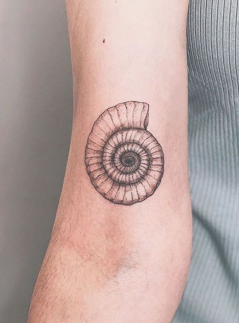 Ammonite Tattoo - Get an InkGet an Ink Shell Fossil Tattoo, Ammonite Tattoo Fossil, Crinoid Tattoo, Mollusk Tattoo, Ammonite Drawing, Fern Shoulder Tattoo, Spiral Shell Tattoo, Tattoo Ocean Theme, Nautilus Shell Tattoo