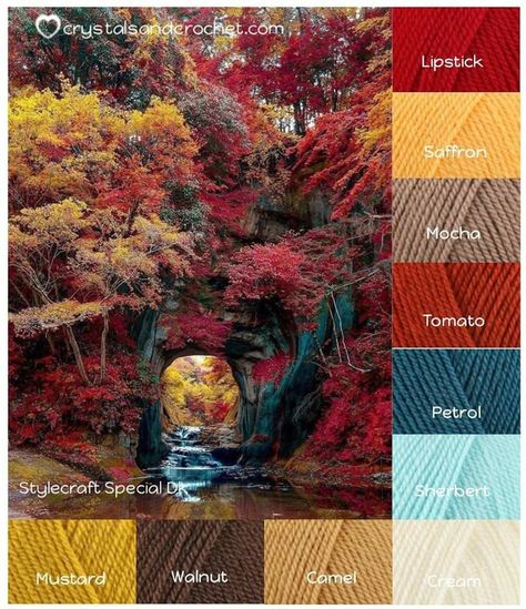 Crochet Colour Combinations, Fall Color Palettes, Fall Color Combinations, Colours That Go Together, Yarn Color Combinations, Color Schemes Colour Palettes, Colors And Patterns, Paint Color Palettes, Fall Color Palette