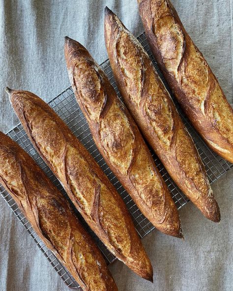 Sourdough Baguette Recipe, Sourdough Baguettes, Sourdough Baguette, The Perfect Loaf, Baguette Recipe, Sourdough Bread Starter, Sourdough Pancakes, Sourdough Starter Discard Recipe, Baguette Bread