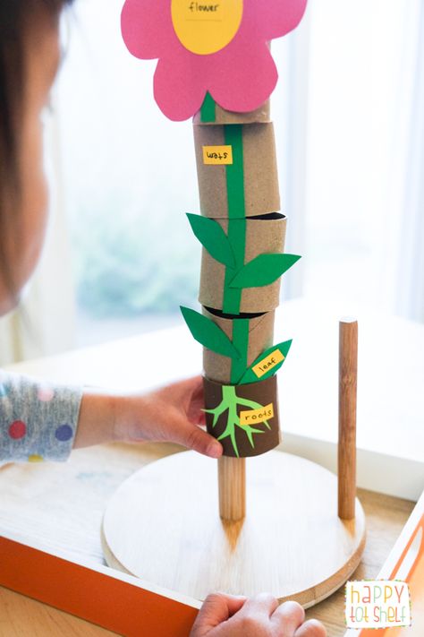 TP ROLL PARTS OF A FLOWER Learning Toy - Happy Tot Shelf Preschool Garden, Plant Activities, Plant Crafts, Spring Preschool, Parts Of A Flower, Preschool Science, Preschool Lessons, Spring Activities, Toddler Learning Activities