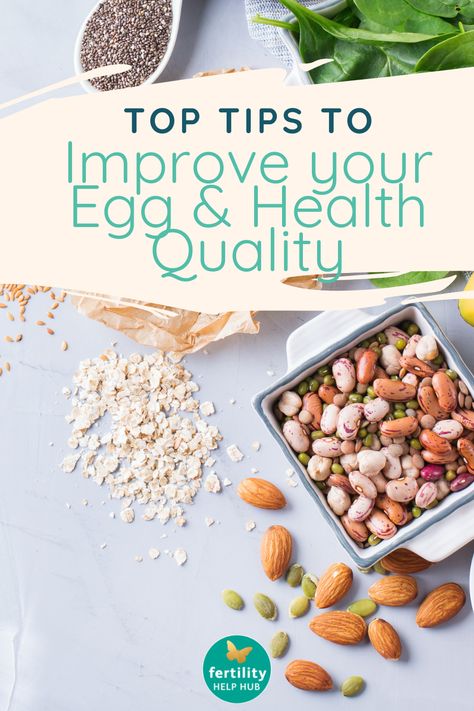 Improve Egg Quality, Health Benefits Of Eggs, Sperm Health, Fertility Help, Natural Headache, Egg Quality, Fertility Foods, Natural Headache Remedies, Healthy Eggs