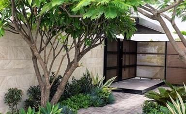 Chinese Courtyard Garden, Small Garden Entrance Ideas, Blairgowrie House, Green Entrance, Tropical Courtyard, Chinese Garden Design, Plant Buddies, Garden Ideas Diy, Sandstone Pavers