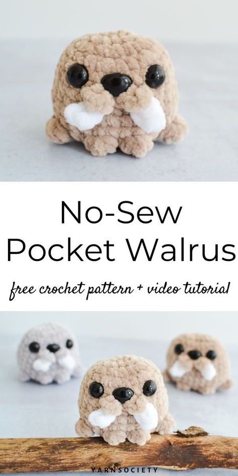 This no sew walrus crochet pattern is the perfect project for sea lovers! Walrus Crochet, Crochet Whale, Easy Crochet Animals, Quick Crochet Patterns, Crochet Keychain Pattern, Crochet Animals Free Patterns, Clothes Crochet, Crochet Design Pattern, Crochet Amigurumi Free Patterns