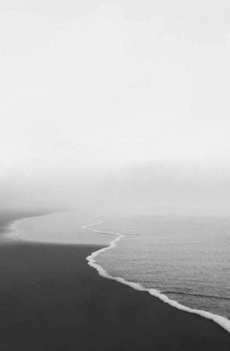 She And Her Cat, Foggy Day, Black And White Beach, Black And White Photograph, Foto Art, 인물 사진, White Aesthetic, White Photography, Black And White Photography