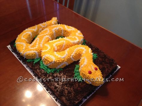 Awesome DIY Birthday Cake Ideas for the Homemade Cake Decorating Enthusiast Youtube Birthday Cake, Snake Birthday Cake, 28th Birthday Cake, Snake Cake, Youtube Birthday, Snake Cakes, Snake Birthday, Snake Party, Reptile Party