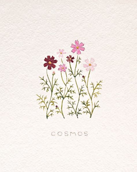 Cosmos Illustration, Watercolor Doodle, Cosmos Flowers, Line Flower, Flowers For You, Illustration Artwork, Flower Illustration, Tattoos And Piercings, Cosmos